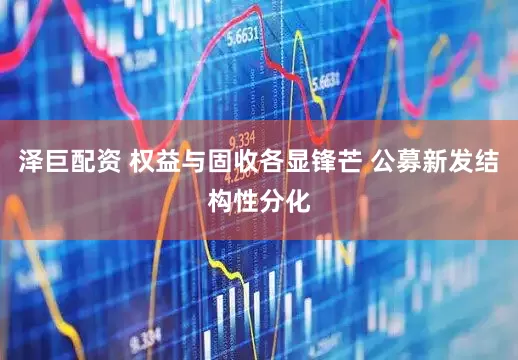 泽巨配资 权益与固收各显锋芒 公募新发结构性分化