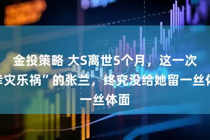 金投策略 大S离世5个月，这一次“幸灾乐祸”的张兰，终究没给她留一丝体面