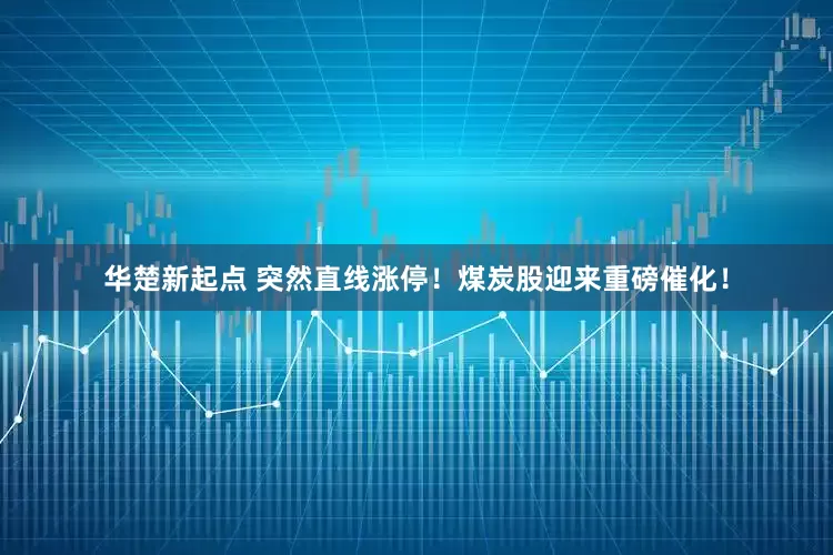华楚新起点 突然直线涨停！煤炭股迎来重磅催化！