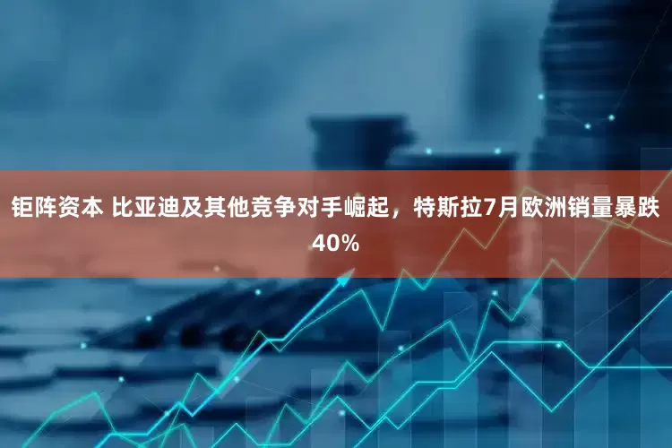 钜阵资本 比亚迪及其他竞争对手崛起，特斯拉7月欧洲销量暴跌40%
