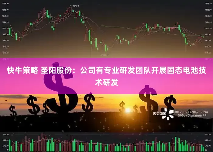快牛策略 圣阳股份：公司有专业研发团队开展固态电池技术研发