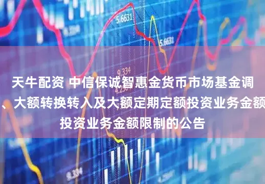 天牛配资 中信保诚智惠金货币市场基金调整大额申购、大额转换转入及大额定期定额投资业务金额限制的公告